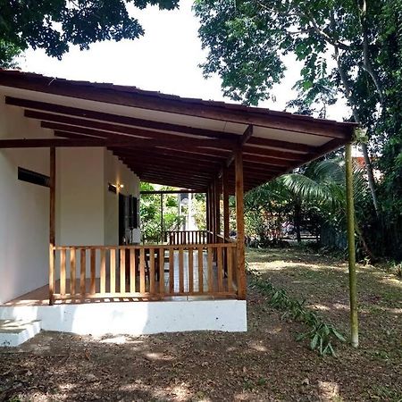Green Papaya Villa Puerto Viejo de Talamanca Dış mekan fotoğraf