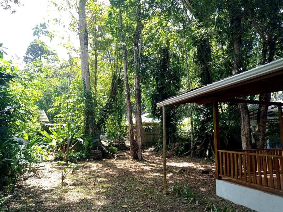 Green Papaya Villa Puerto Viejo de Talamanca Dış mekan fotoğraf