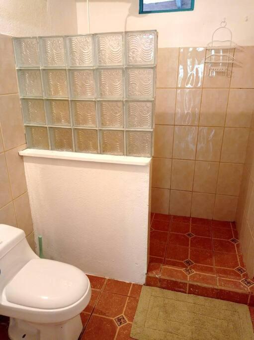 Green Papaya Villa Puerto Viejo de Talamanca Dış mekan fotoğraf