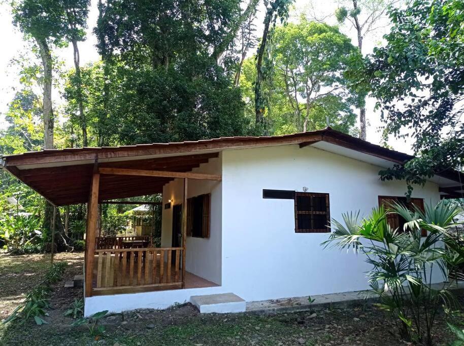 Green Papaya Villa Puerto Viejo de Talamanca Dış mekan fotoğraf