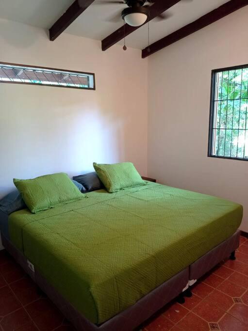 Green Papaya Villa Puerto Viejo de Talamanca Dış mekan fotoğraf